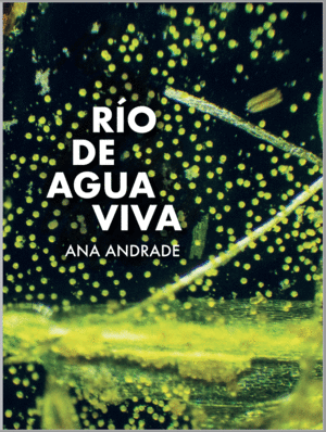 RIO DE AGUA VIVA