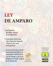 LEY DE AMPARO 2023 BOLSILLO