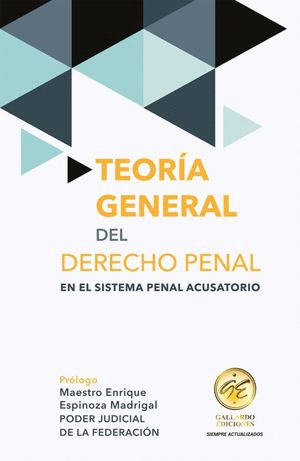 TEORÍA GENERAL DEL DERECHO PENAL 2024