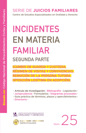 INCIDENTES EN MATERIA FAMILIAR. SEGUNDA PARTE