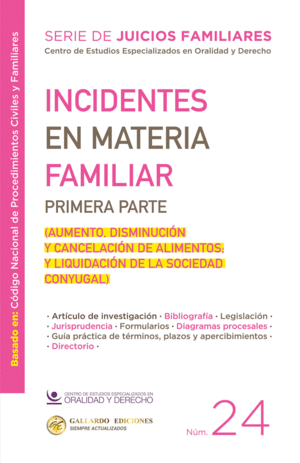 INCIDENTES EN MATERIA FAMILIAR. PRIMERA PARTE
