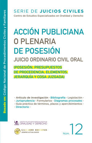 ACCIÓN PUBLICIANA O PLENARIA DE POSESIÓN