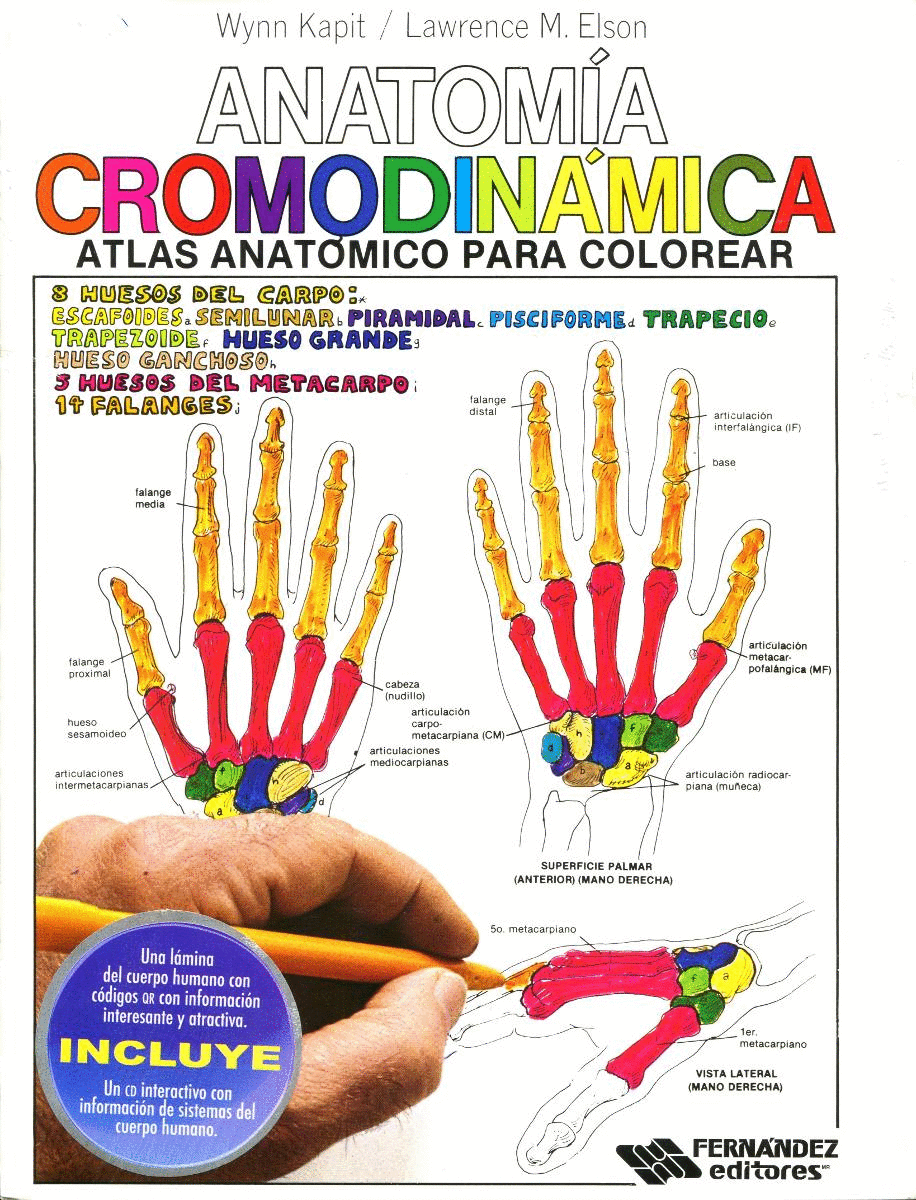 ANATOMIA CROMODINAMICA