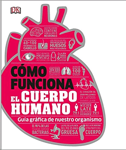 COMO FUNCIONA EL CUERPO HUMANO