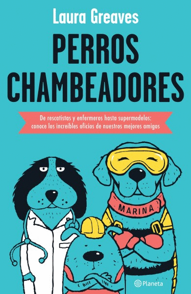 PERROS CHAMBEADORES