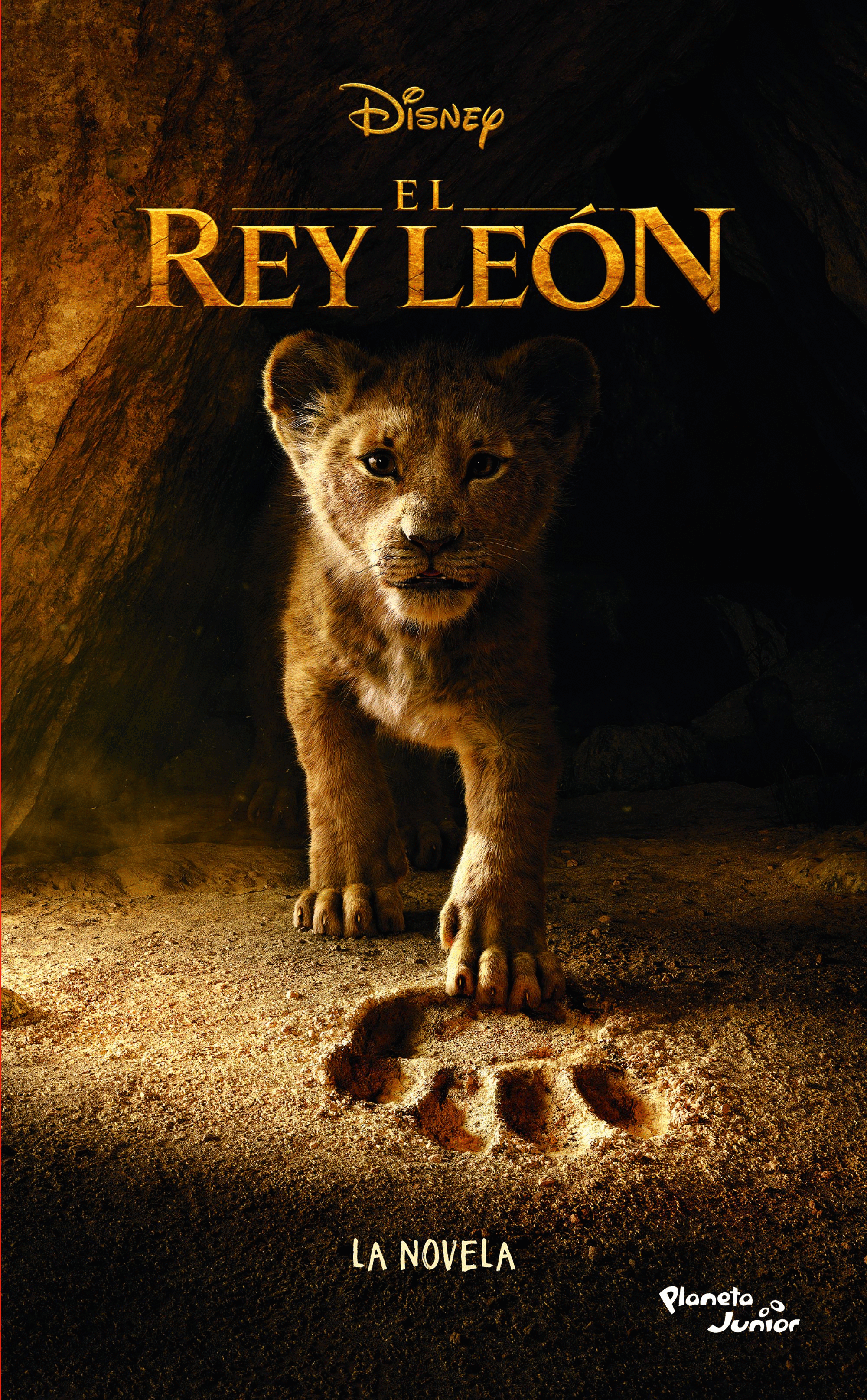 REY LEON, EL / LA NOVELA