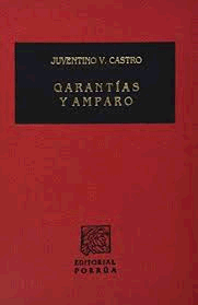 GARANTIAS Y AMPARO