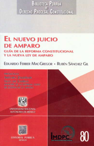 NUEVO JUICIO DE AMPARO, EL