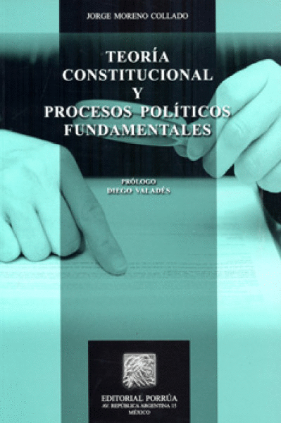 TEORIA CONSTITUCIONAL Y PROCESOS POLITICOS FUNDAMENTALES