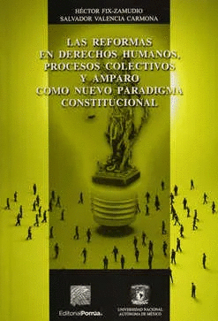 REFORMAS EN DERECHOS HUMANOS, PROCESOS COLECTIVOS Y AMPARO COMO NUEVO PARADIGMA CONSTITUCIONAL
