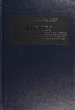 BIENES /DERECHOS REALES DERECHOS DE AUTOR Y REGISTRO PUBLICO