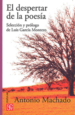 DESPERTAR DE LA POESIA, EL