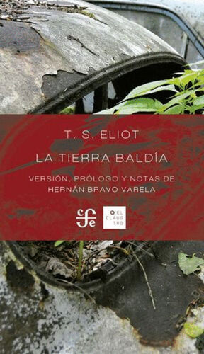 TIERRA BALDÍA, LA