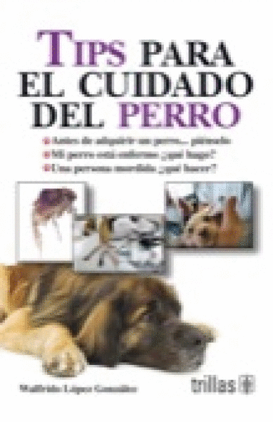 TIPS PARA EL CUIDADO DEL PERRO