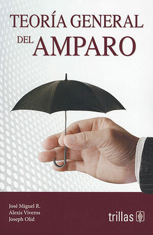 TEORIA GENERAL DEL AMPARO