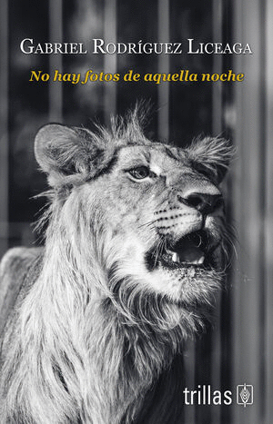 NO HAY FOTOS DE AQUELLA NOCHE