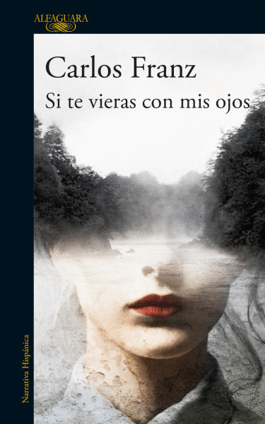 SI TE VIERAS CON MIS OJOS