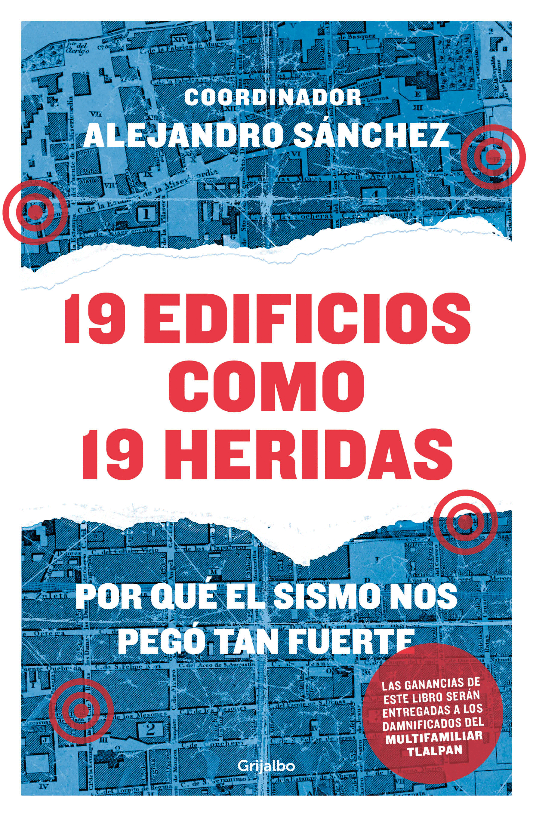 19 EDIFICIOS COMO 19 HERIDAS