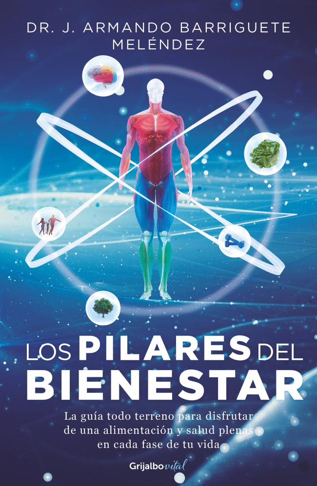 PILARES DEL BIENESTAR, LOS