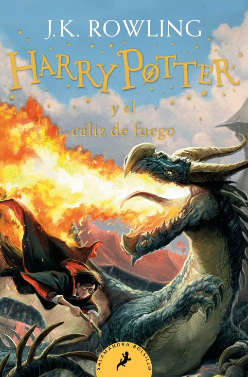 HARRY POTTER Y EL CALIZ DE FUEGO (4)