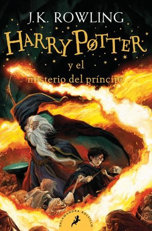 HARRY POTTER Y EL MISTERIO DEL PRINCIPE (6)