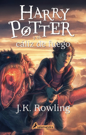 HARRY POTTER Y EL CÁLIZ DE FUEGO (IV)