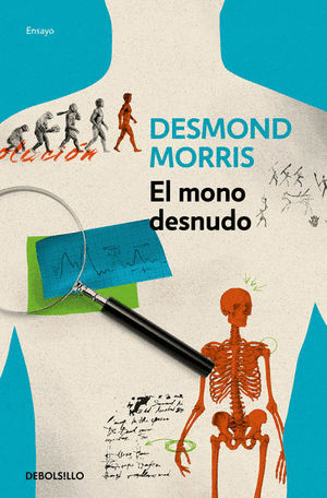 MONO DESNUDO, EL