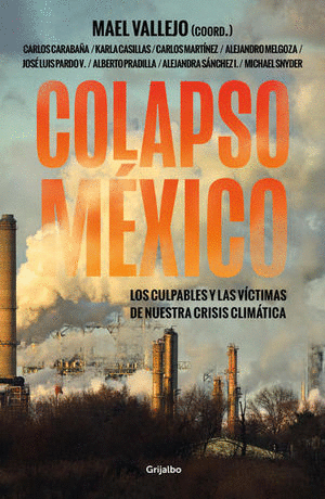 COLAPSO MÉXICO