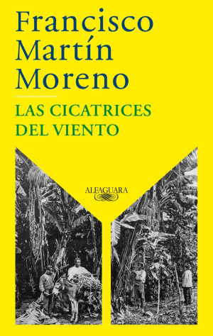 CICATRICES DEL VIENTO, LAS