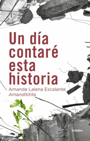 UN DÍA CONTARÉ ESTA HISTORIA
