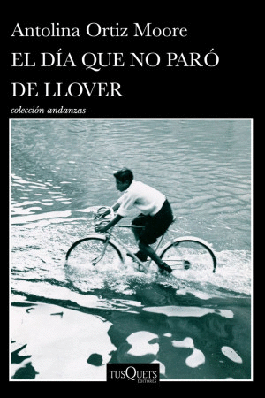 EL DIA QUE NO PARÓ DE LLOVER