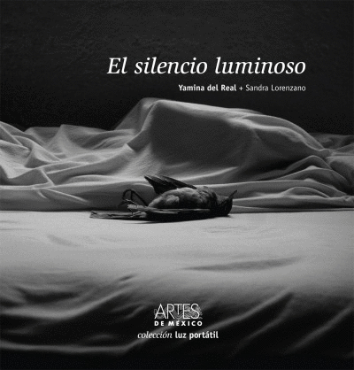 SILENCIO LUIMINOSO, EL