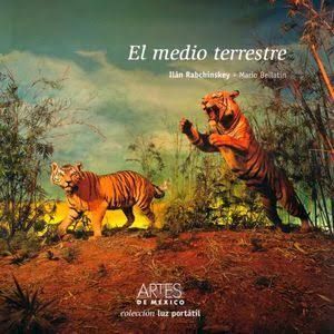 MEDIO TERRESTRE, EL