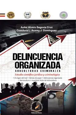 DELINCUENCIA ORGANIZADA: SUBCULTURAS CRIMINALES