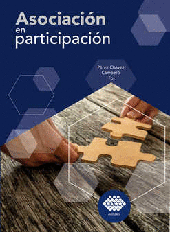 ASOCIACION EN PARTICIPACION 2019