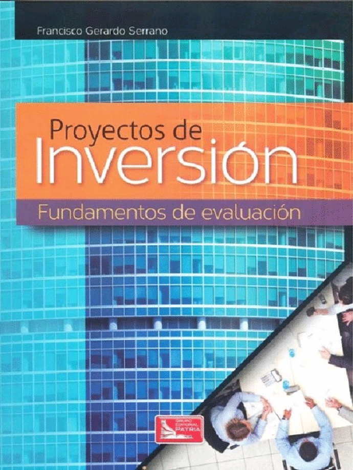 PROYECTOS DE INVERSION