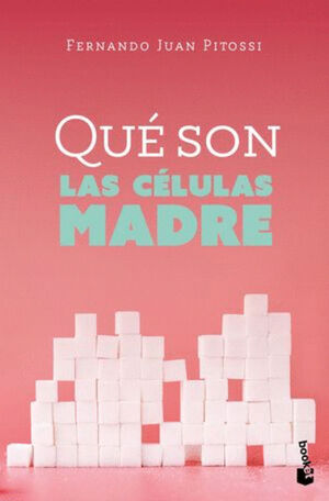 QUÉ SON LAS CÉLULAS MADRE