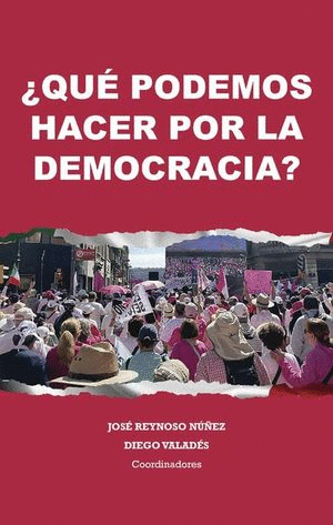 ¿QUÉ PODEMOS HACER POR LA DEMOCRACIA?