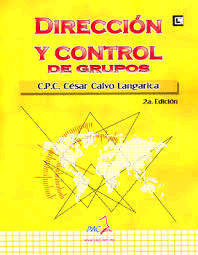 DIRECCION  Y CONTROL DE GRUPOS