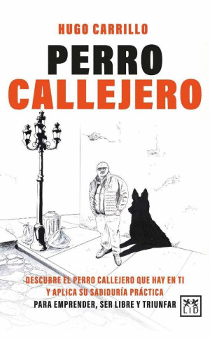 PERRO CALLEJERO