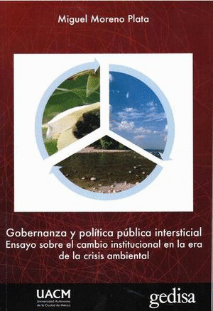 GOBERNANZA Y POLÍTICA PÚBLICA INTERSTICIAL