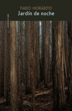 JARDÍN DE NOCHE
