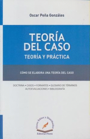 TEORIA DEL CASO