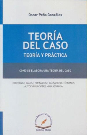 TEORIA DEL CASO