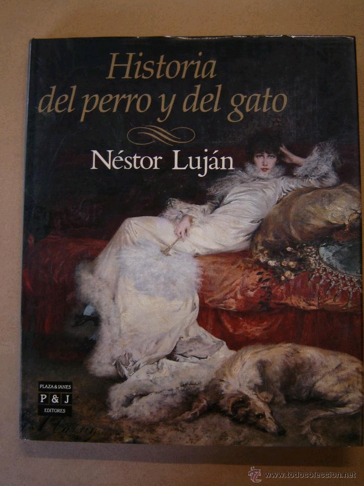 HISTORIA DEL PERRO Y DEL GATO