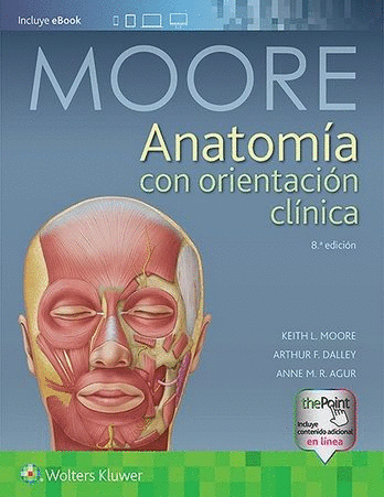 MOORE ANATOMIA CON ORIENTACION CLINICA 8VA ED