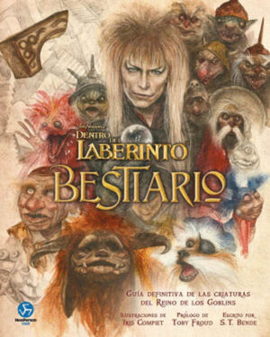 DENTRO DEL LABERINTO