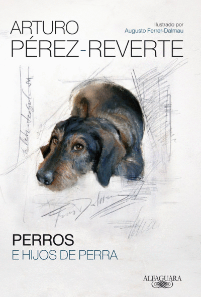 PERRO E HIJOS DE PERRA