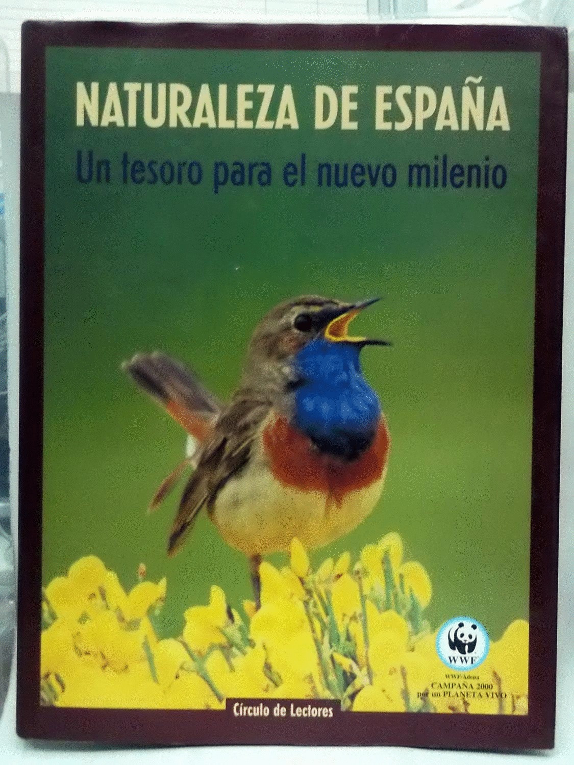 NATURALEZA DE ESPAÑA