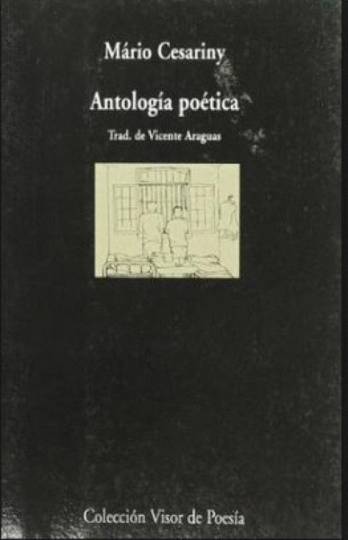 ANTOLOGIA POETICA /VISOR POESIA 541